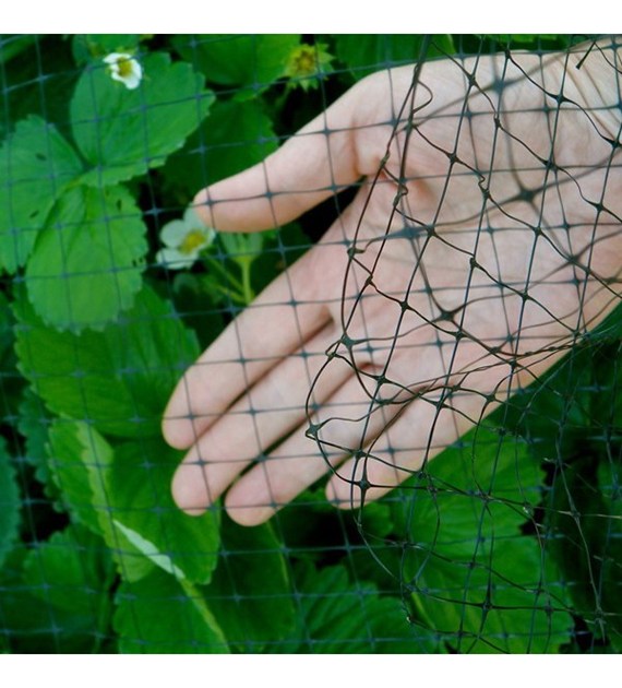 Siatka ochronna przed ptakami PE 4x  20m